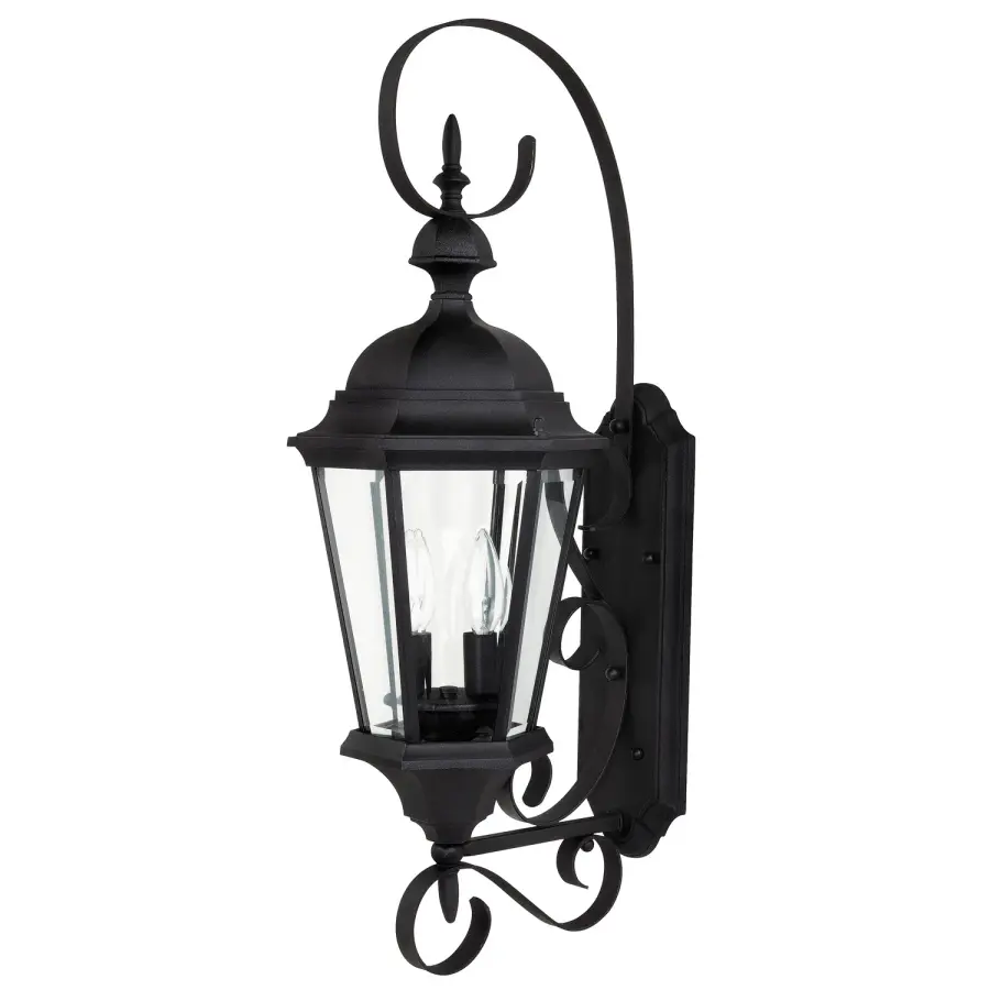 Carriage House 2-Light Outdoor Wall Lantern in Black