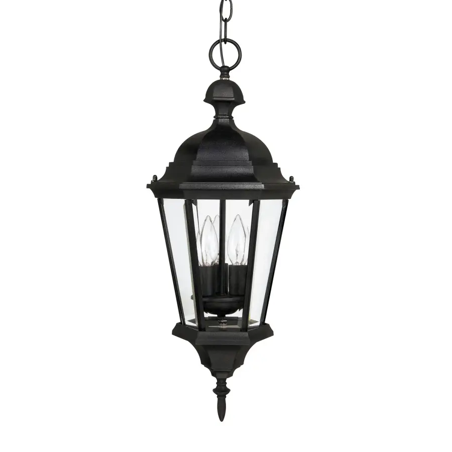 Carriage House 3-Light Outdoor Hanging Lantern