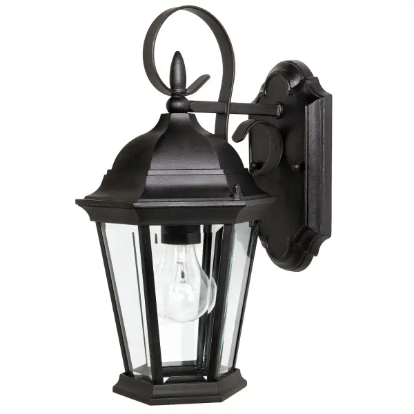 Carriage House 1-Light Outdoor Wall Lantern in Black