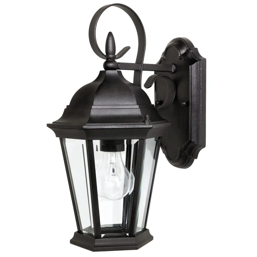 Carriage House 1-Light Outdoor Wall Lantern in Black