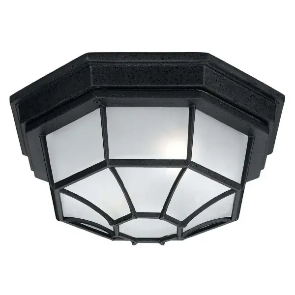 2-Light Outdoor Flush Mount in Black