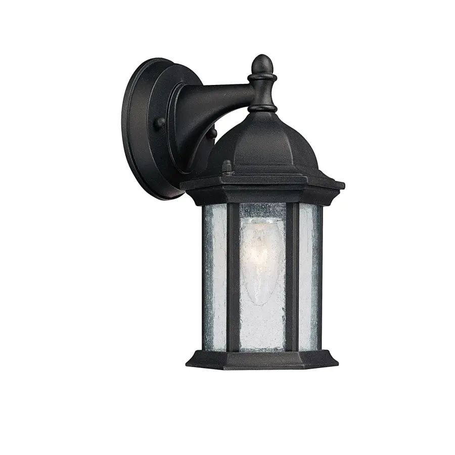 Main Street 1-Light Outdoor Wall Lantern in Black