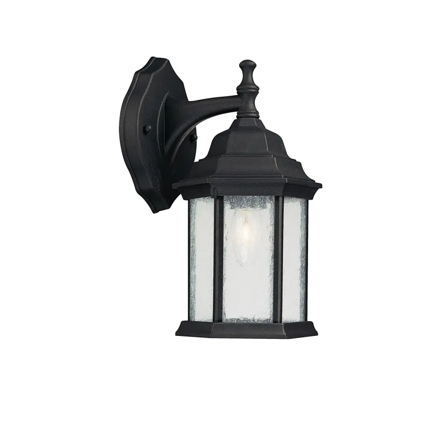 Main Street 1-Light Outdoor Wall Lantern in Black