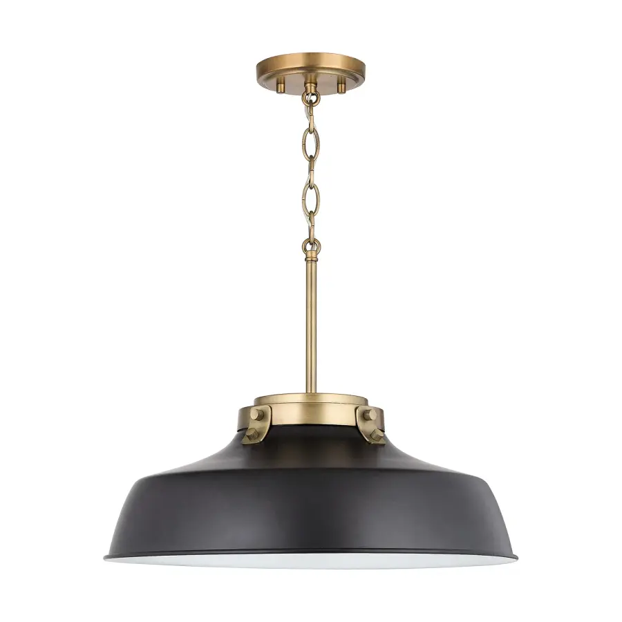 Oakwood 1-Light Matte Black Metal Pendant