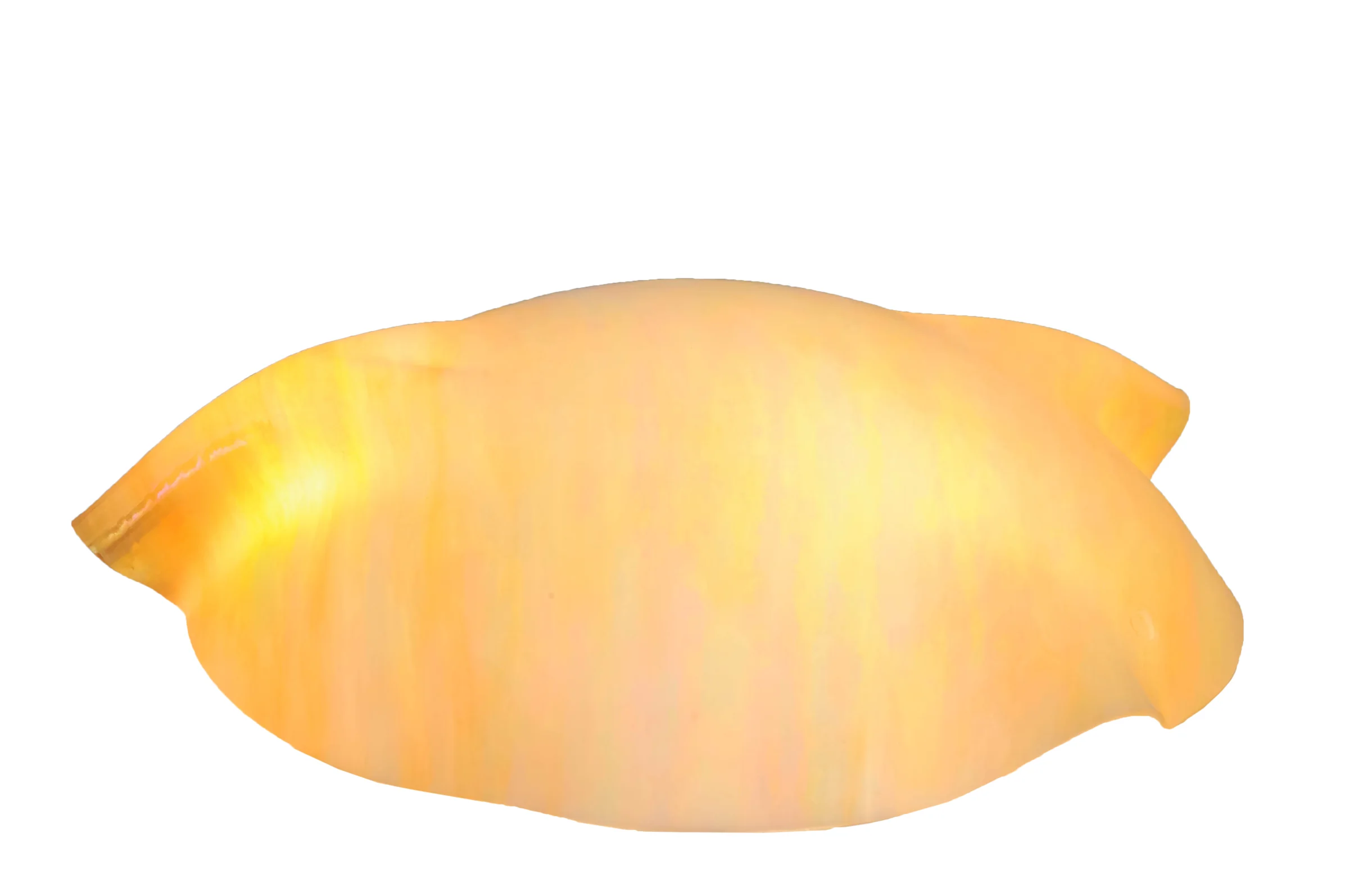 16" Wide Atelier Organic Art Glass Shade