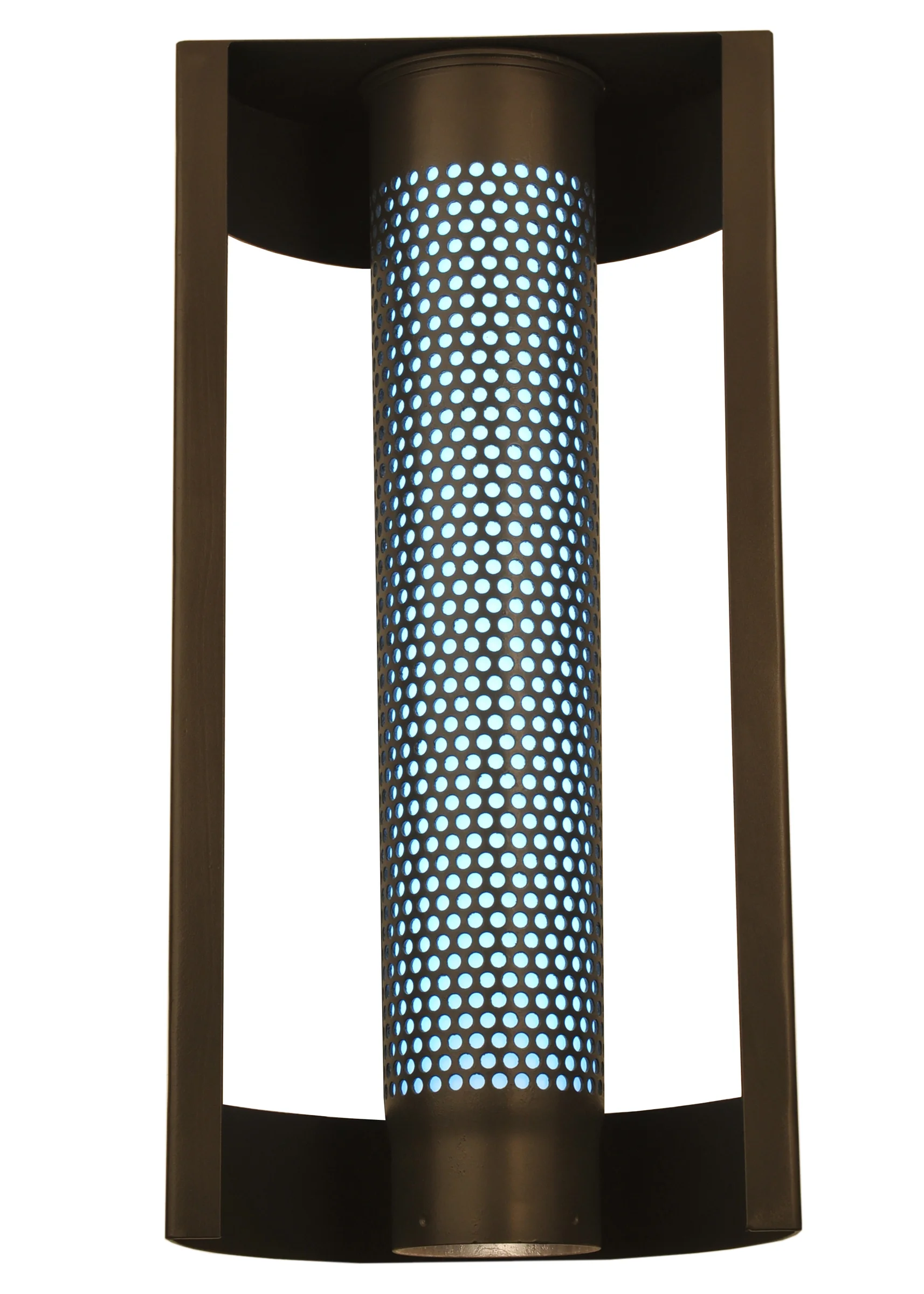 Snowbird Shell LED Wall Sconce in Timeless Bronze