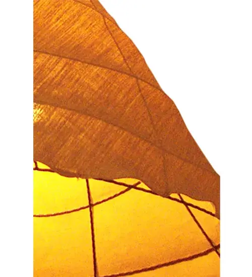 The Rustic Chic by Meyda Lighting - Image 8