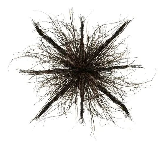The Twigs by Meyda Lighting - Image 9