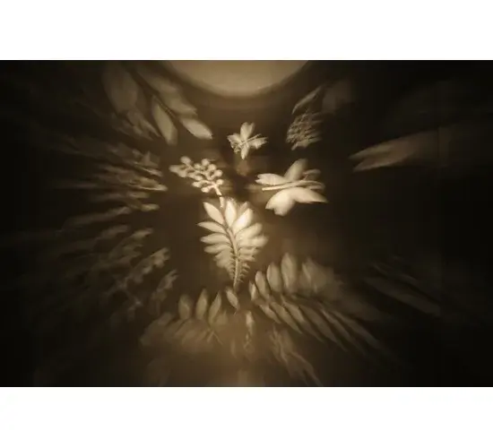 The Butterflies & Ferns by Meyda Lighting - Image 9