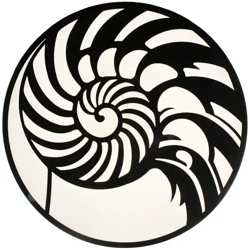 The Nautilus by Meyda Lighting - Image 2