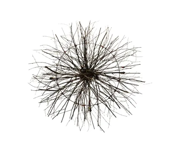 The Twigs by Meyda Lighting - Image 7