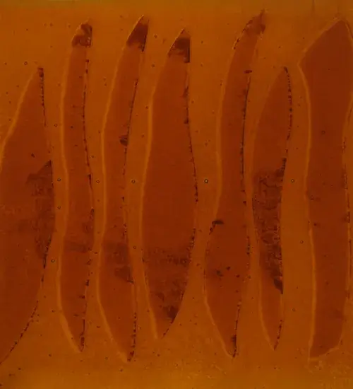 The Fused Glass by Meyda Lighting