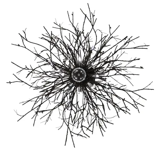 The Pussy Willow by Meyda Lighting - Image 6