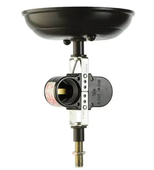 The Balsam Pine by Meyda Lighting - Image 9