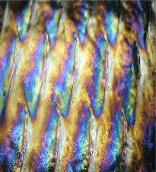 The Stained Glass by Meyda Lighting