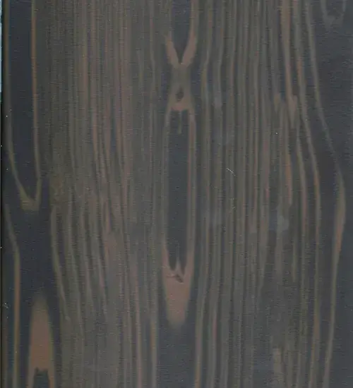 The Metal Finish by Meyda Lighting