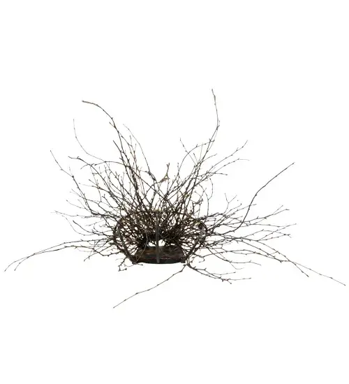 The Twigs by Meyda Lighting - Image 7