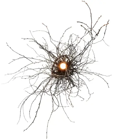 The Twigs by Meyda Lighting - Image 6