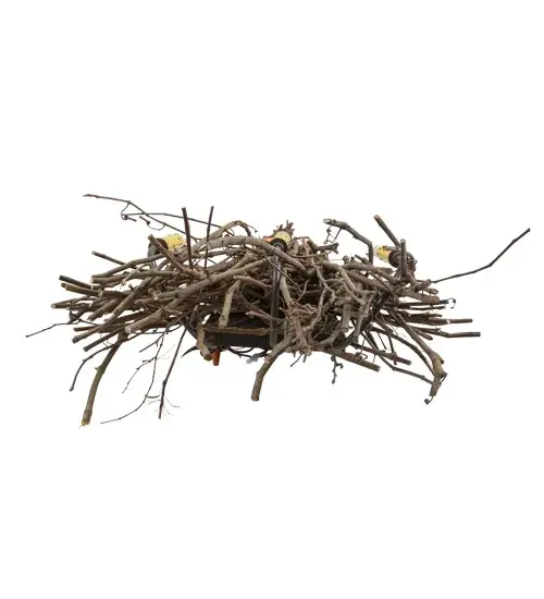 The Twigs by Meyda Lighting - Image 7