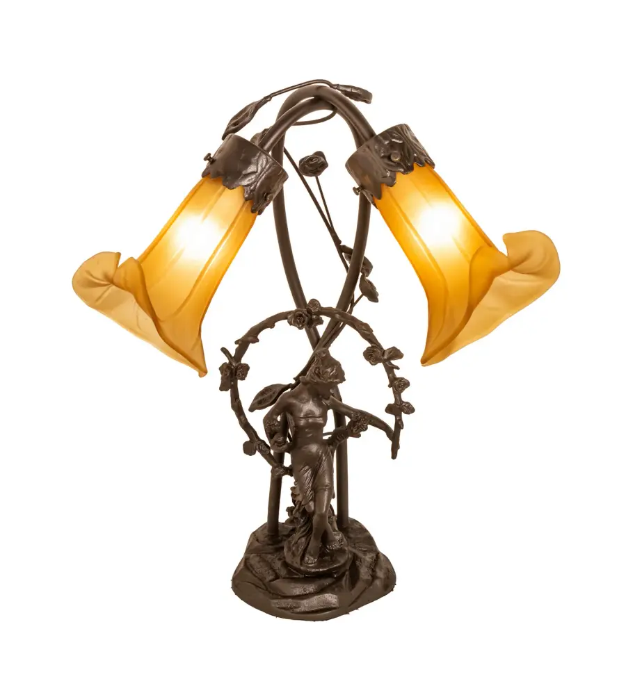 The Meyda Tiffany - Amber by Meyda Lighting