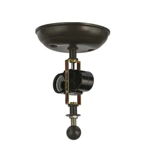 The Meyda Tiffany - Loon by Meyda Lighting - Image 9