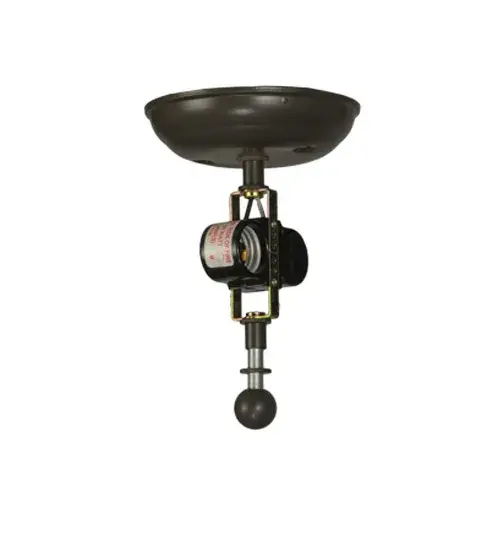 The Meyda Tiffany - Trout by Meyda Lighting - Image 9