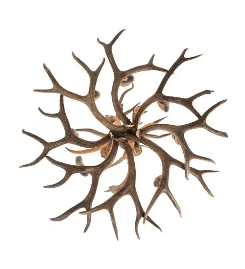 The Antlers by Meyda Lighting - Image 7