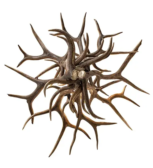 The Antlers by Meyda Lighting - Image 7