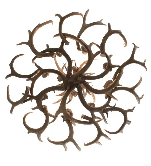 The Antlers by Meyda Lighting - Image 6