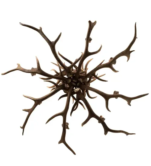 The Antlers by Meyda Lighting - Image 7