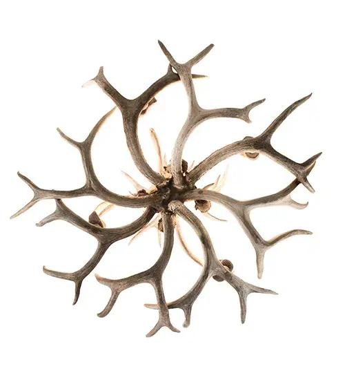 The Antlers by Meyda Lighting - Image 7