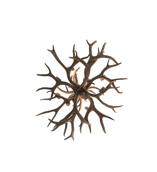 The Antlers by Meyda Lighting - Image 6