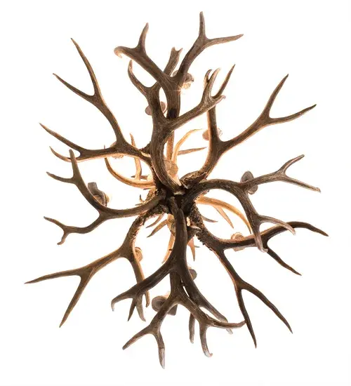 The Antlers by Meyda Lighting - Image 7
