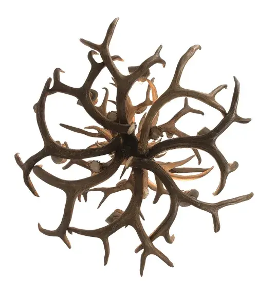 The Antlers by Meyda Lighting - Image 7
