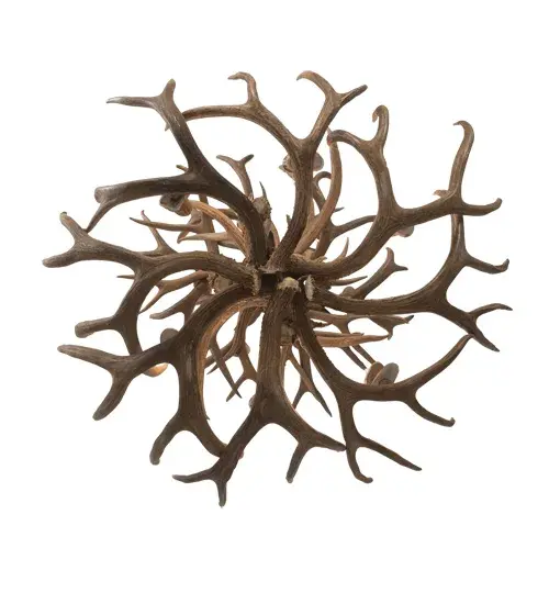The Antlers by Meyda Lighting - Image 7