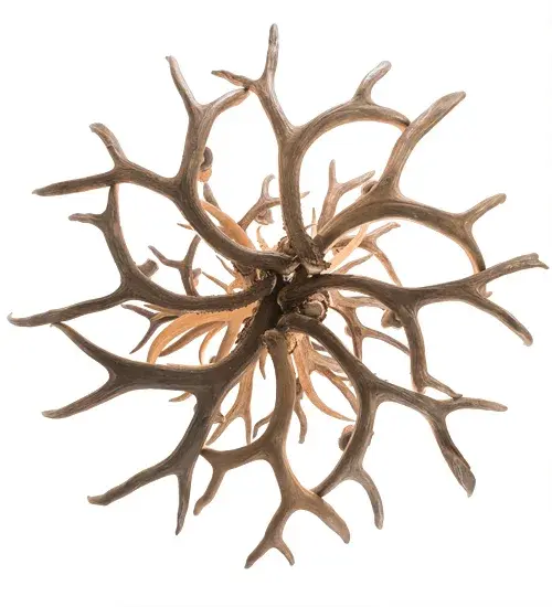 The Antlers by Meyda Lighting - Image 7