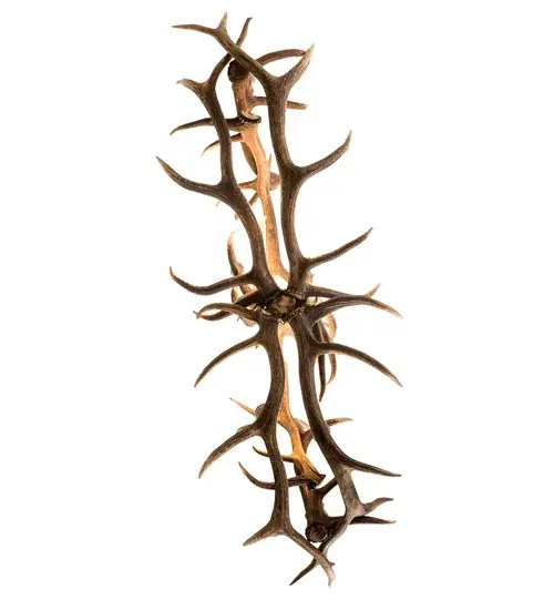 The Antlers by Meyda Lighting - Image 8
