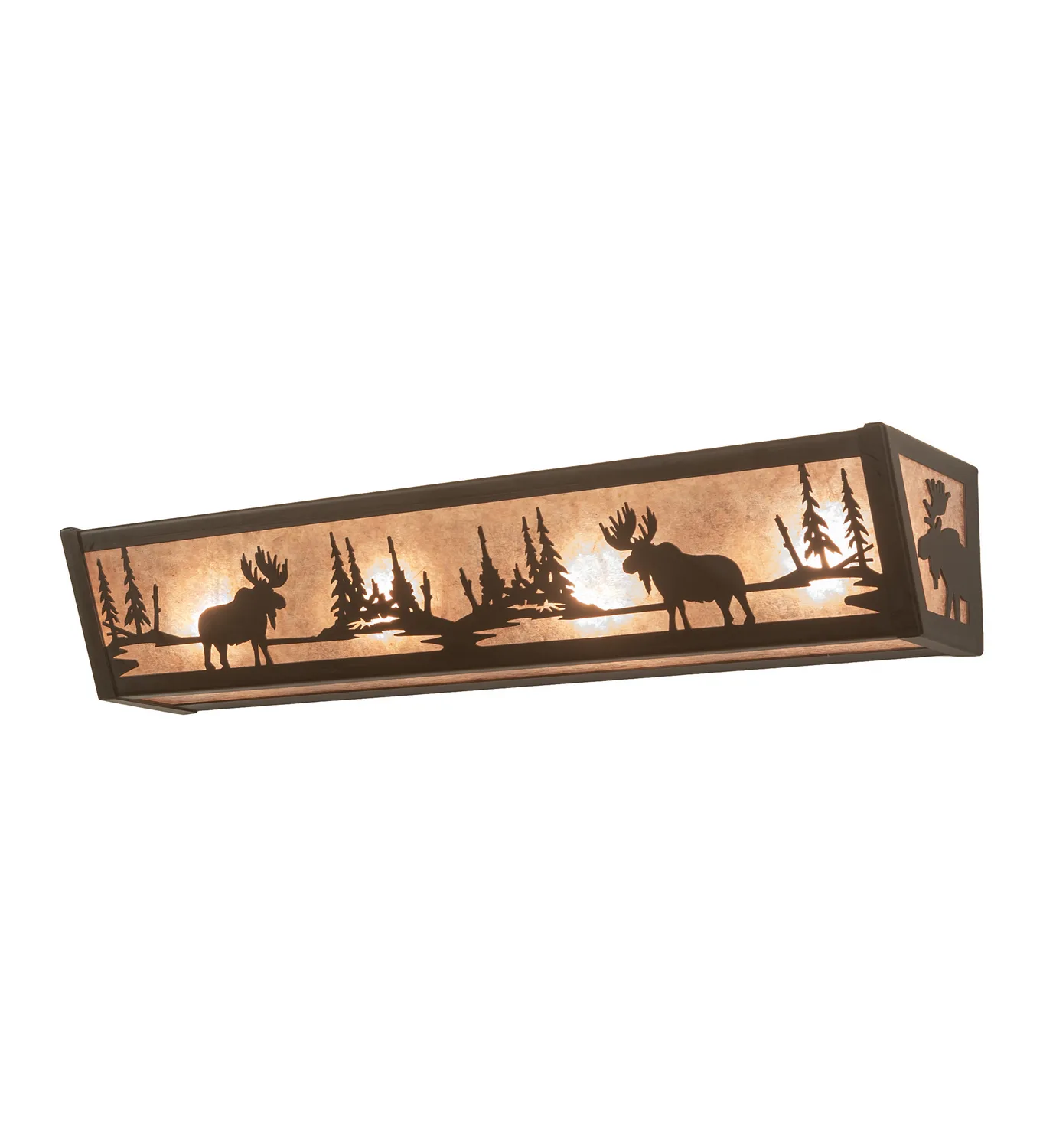 Moose At Lake Four Light Vanity in Oil Rubbed Bronze