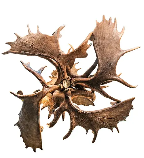 The Antlers by Meyda Lighting - Image 7