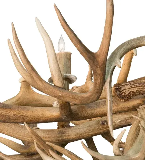 The Antlers by Meyda Lighting - Image 9