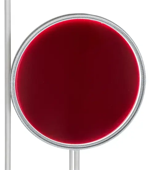 The Paletta by Meyda Lighting - Image 8