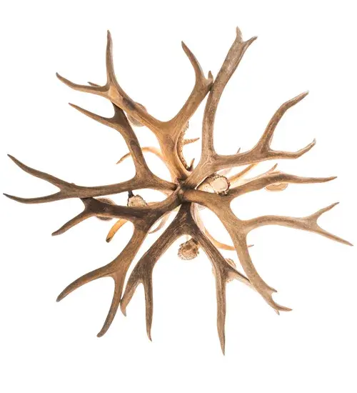 The Antlers by Meyda Lighting - Image 7