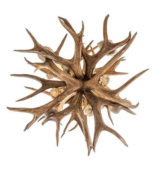The Antlers by Meyda Lighting - Image 7