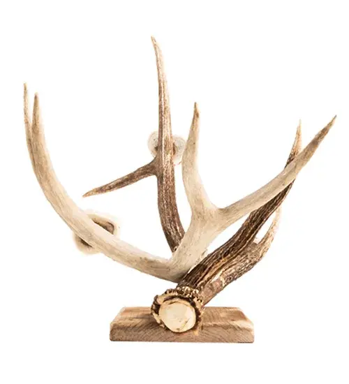 The Antlers by Meyda Lighting - Image 7
