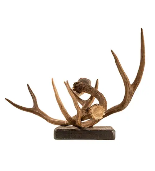 The Antlers by Meyda Lighting - Image 7
