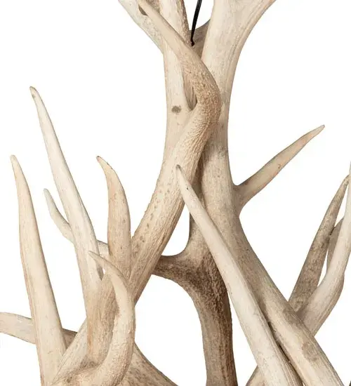 The Antlers by Meyda Lighting - Image 6