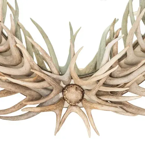 The Antlers by Meyda Lighting - Image 5