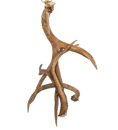 The Antlers by Meyda Lighting - Image 3