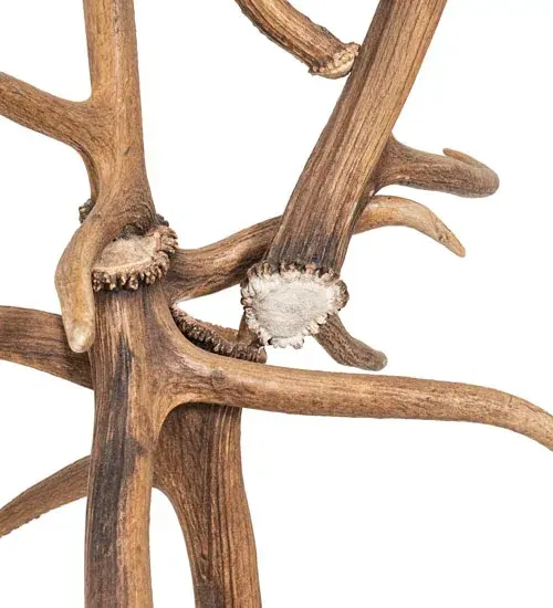 The Antlers by Meyda Lighting - Image 7