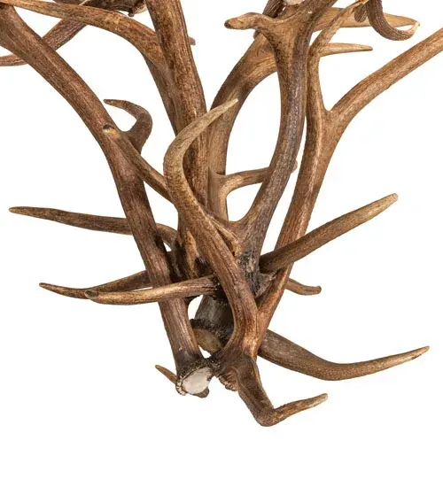 The Antlers by Meyda Lighting - Image 9